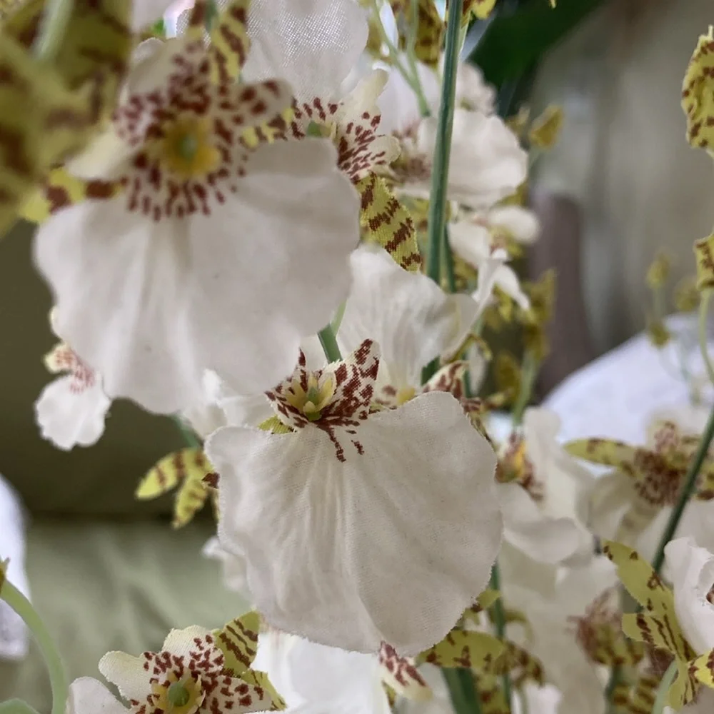 West Elm Orchid stems